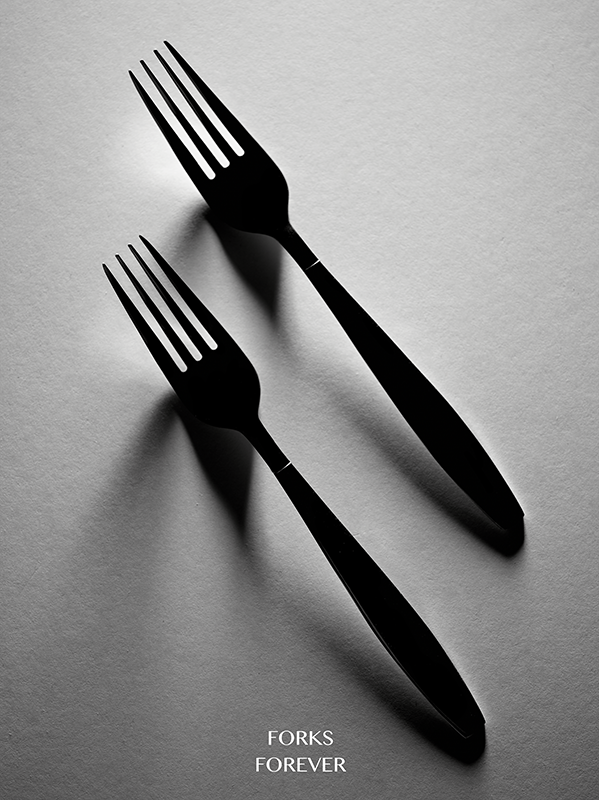 Fork3.png