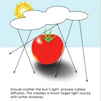9 Popular Studio Light Modifiers Explained 