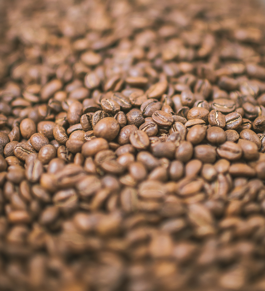 Free Cupping with Counter Culture Coffee!