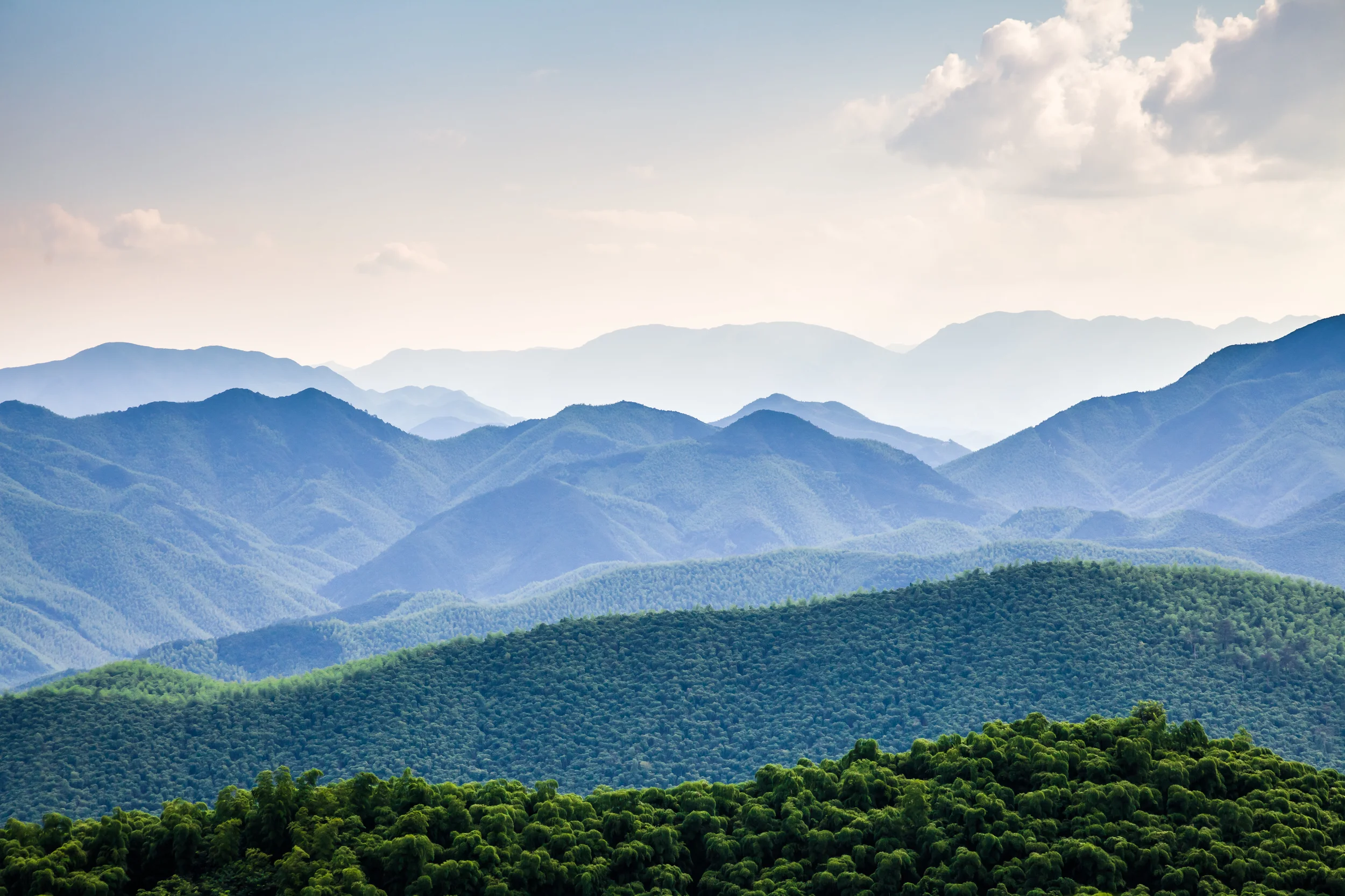 Dollarphotoclub_60507801.jpg
