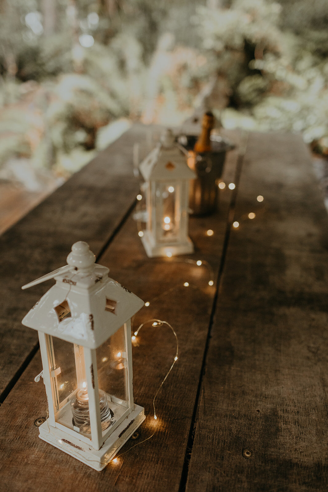 Alderbrook Resort Surprise Proposal Photos
