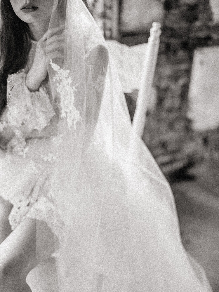 Black and White Bridal Portrait Lace Veil