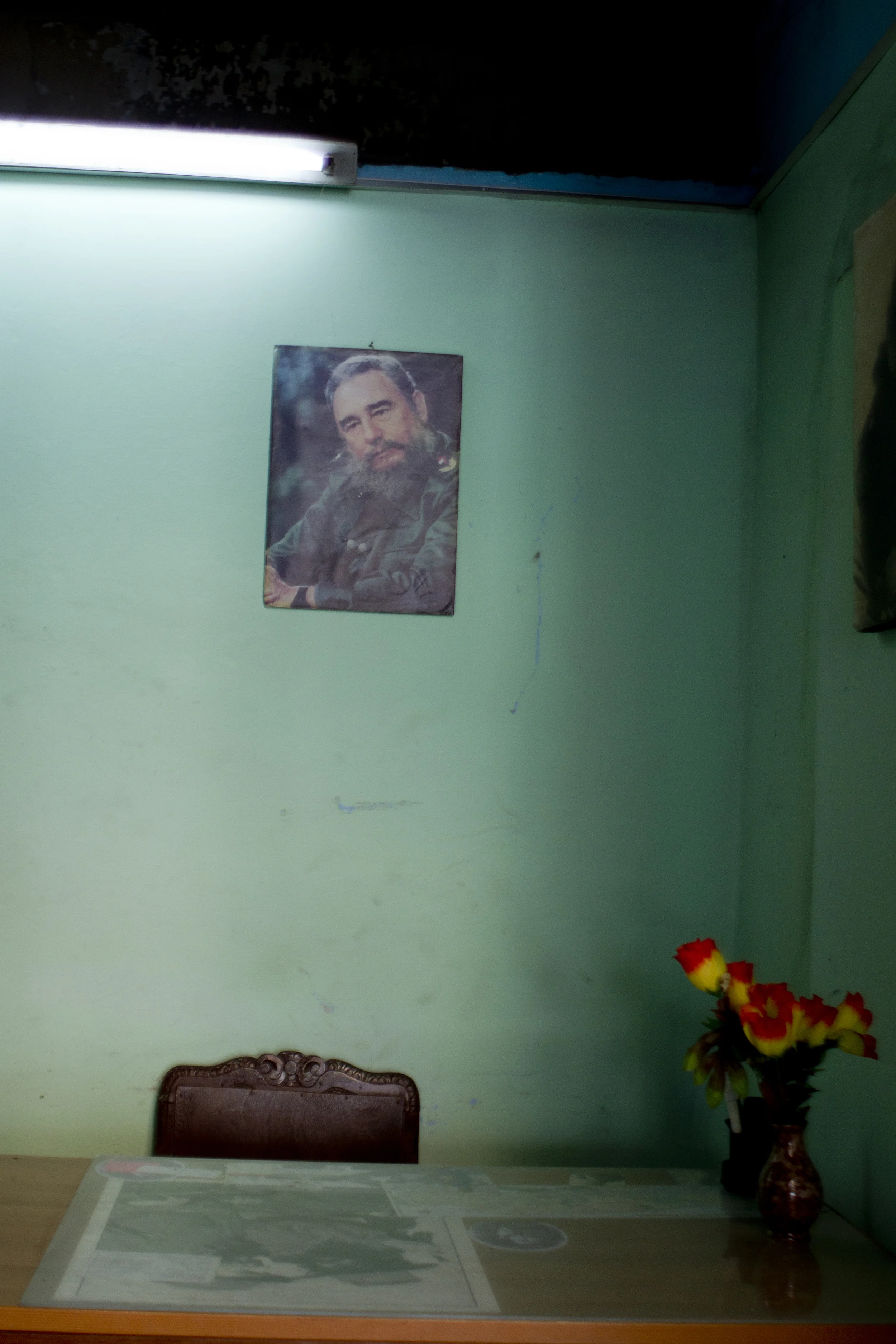 6-fidel.jpg