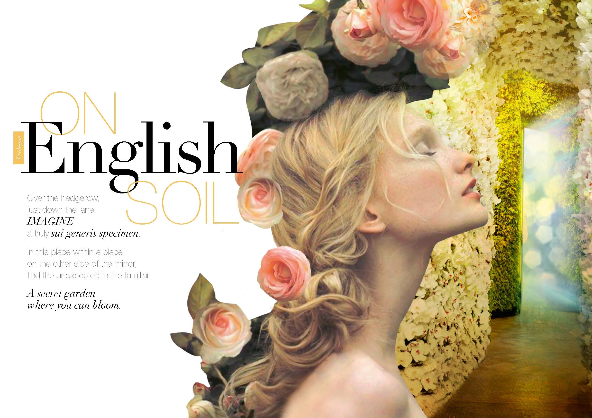 M&S_NEW_BRANDEPIC_Page_02.jpg