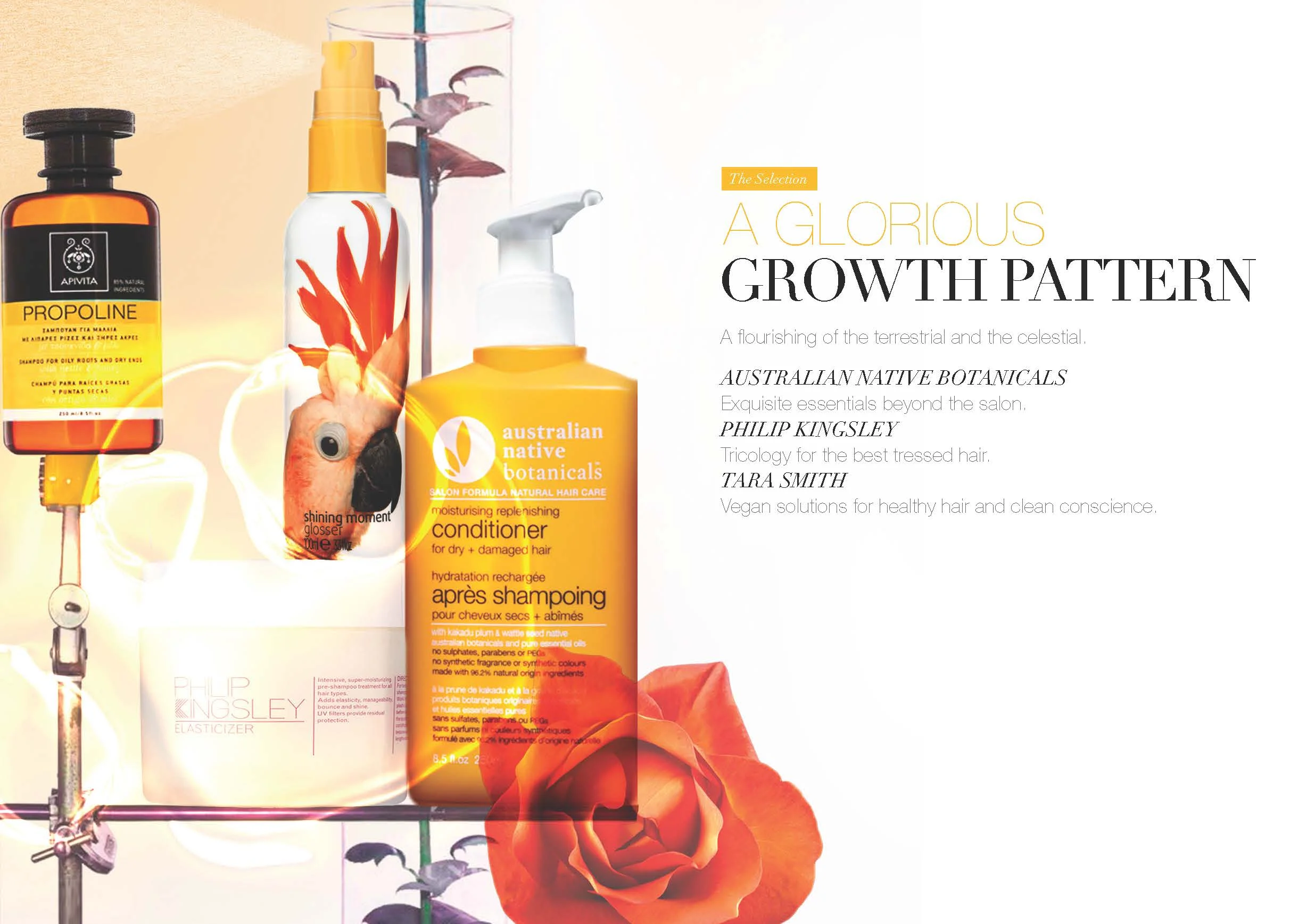 M&S_NEW_BRANDEPIC_Page_09.jpg