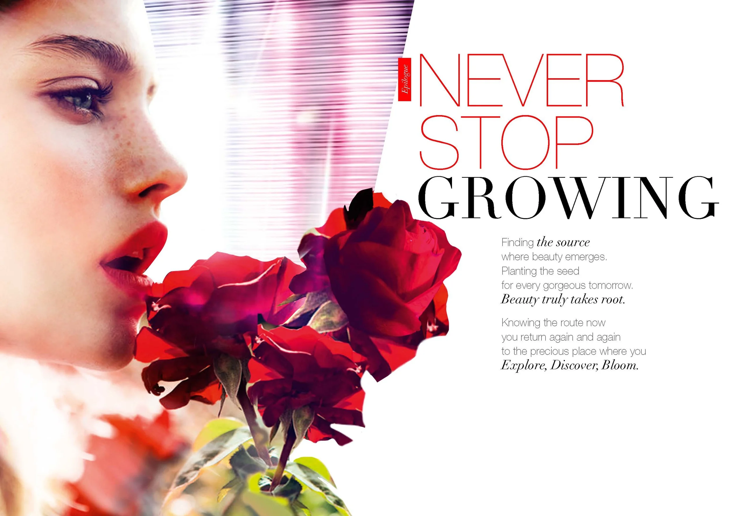 M&S_NEW_BRANDEPIC_Page_17.jpg