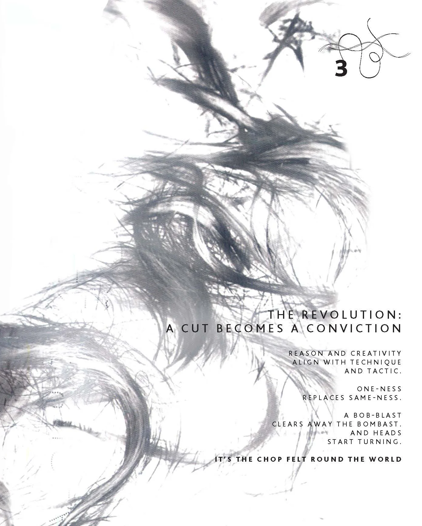 8C SASSOON COPY FOR WEB SITE_Page_0Alt.jpg
