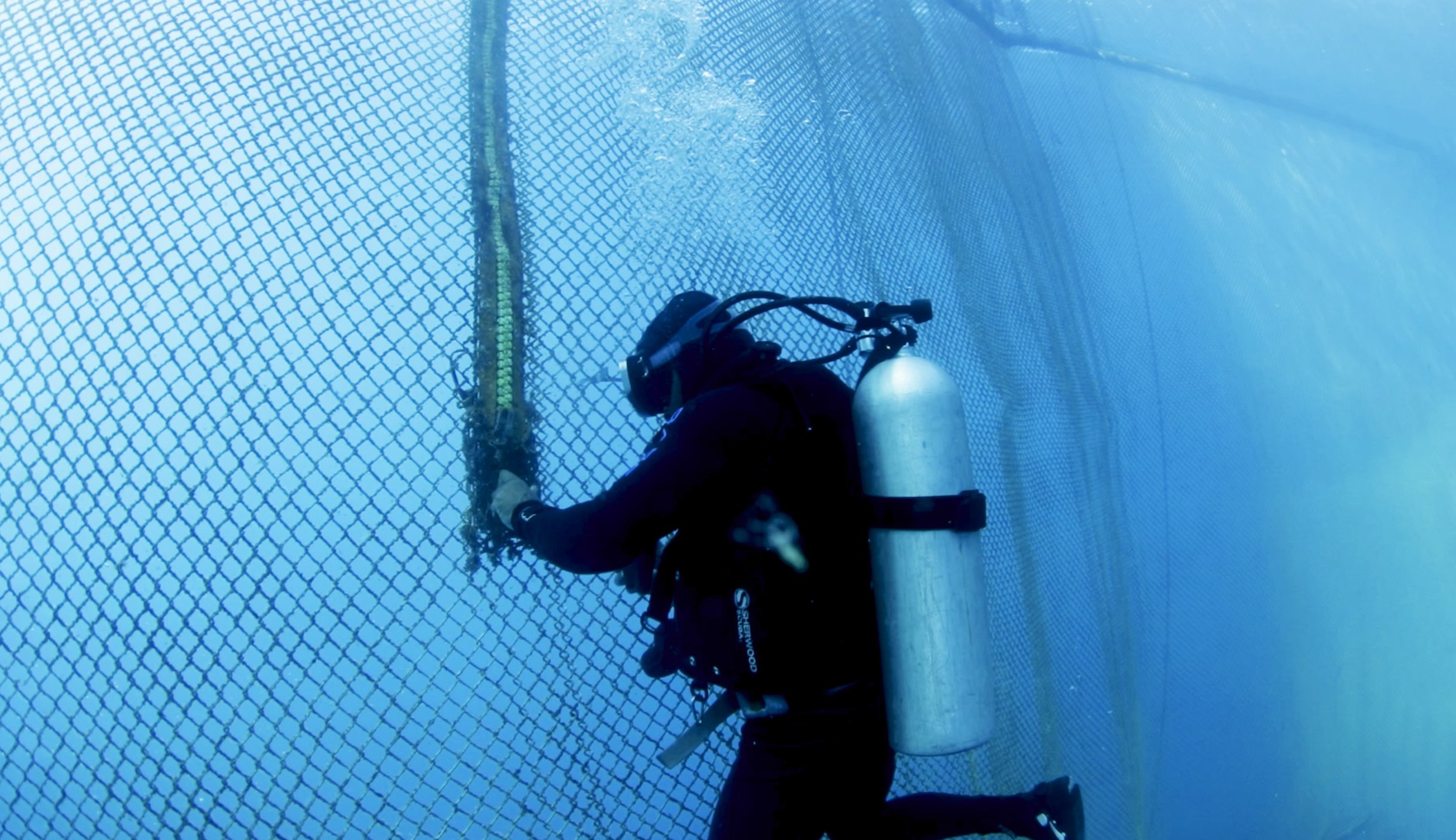 Aquaculture in BCS Mexico