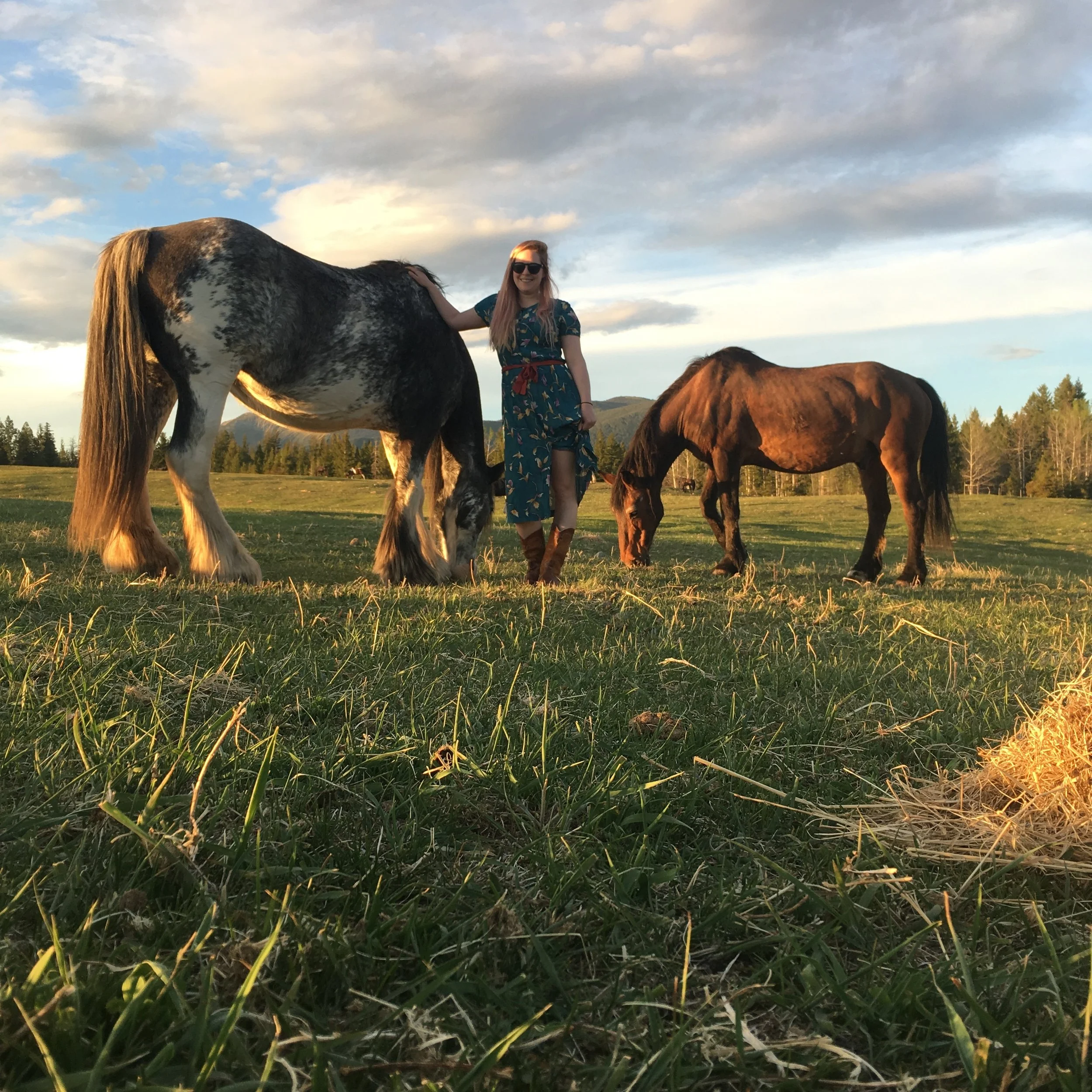 lindsay angus with horses