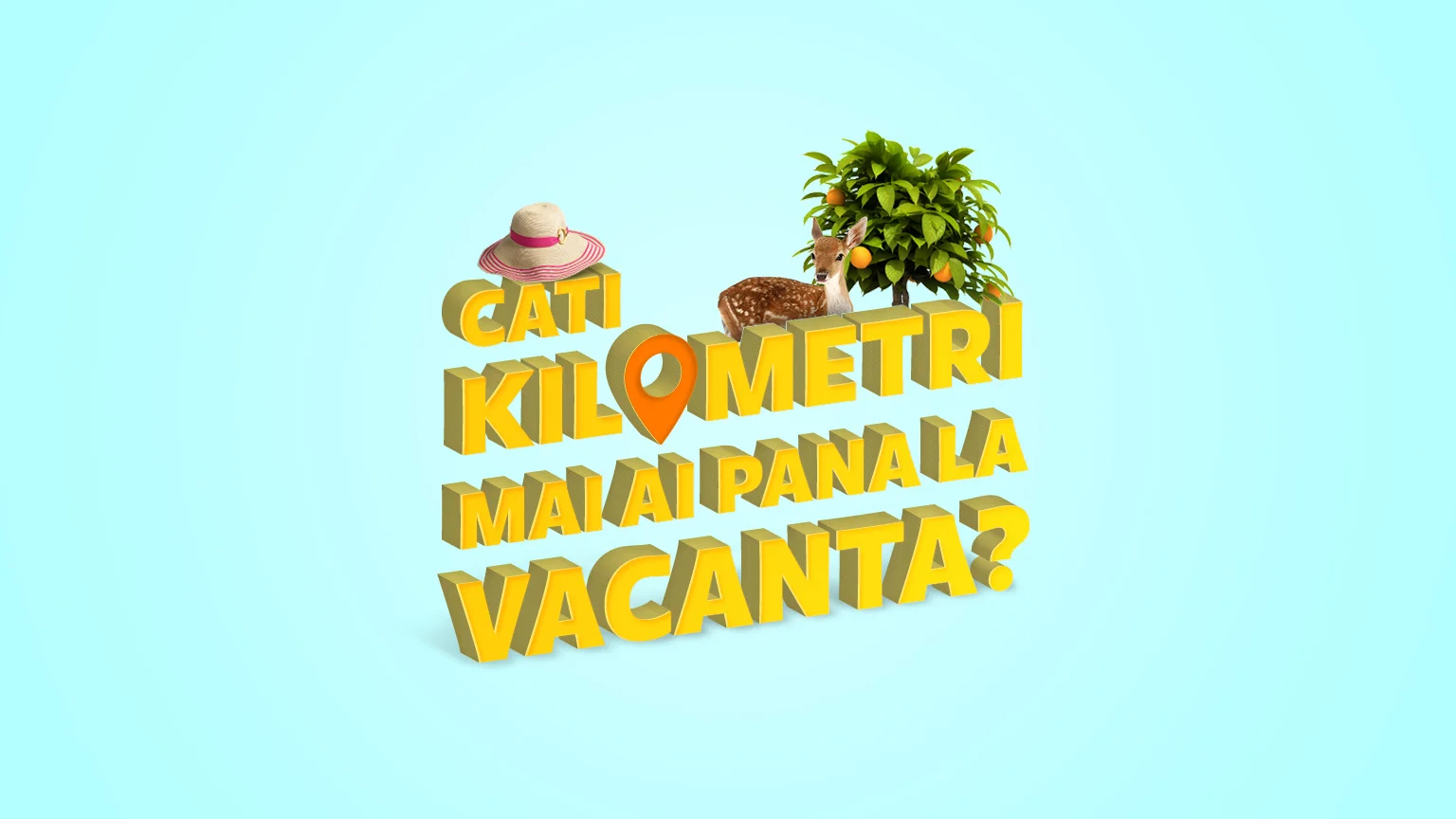 header-seat-summer.jpg