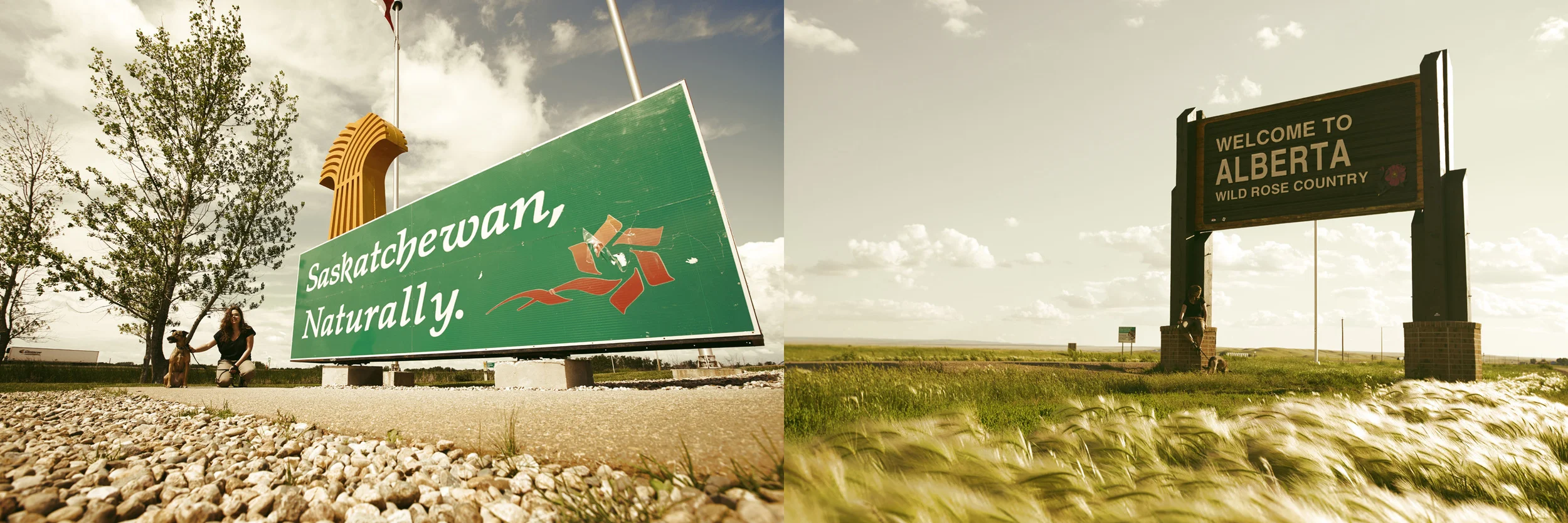 Winnipeg to Strathmore (an hour outside Calgary) in one day. Who knew Saskatchewan had trees?