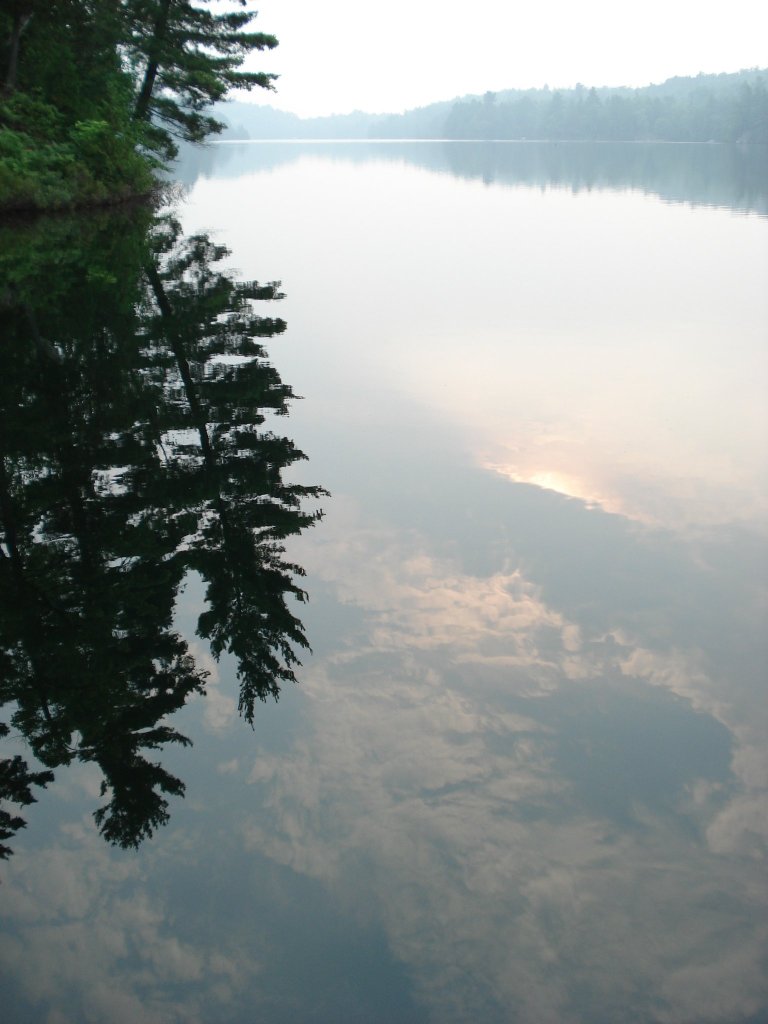 bataille_reflections.jpg