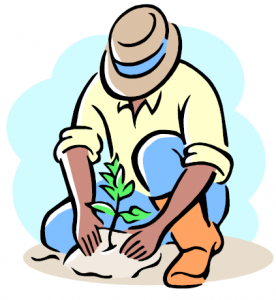 tree-planting-276x300.png