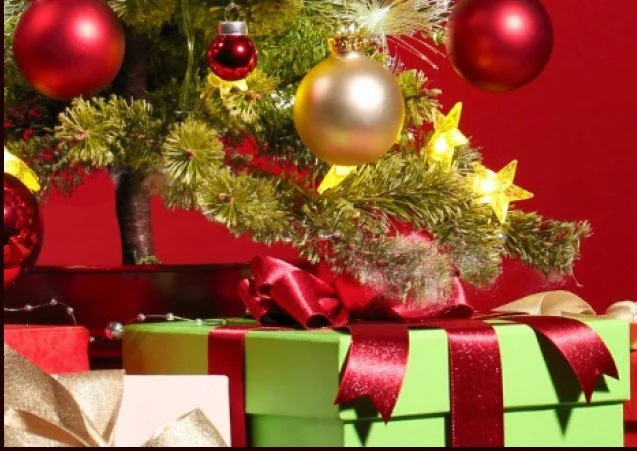 Voeux des fêtes / Holiday wishes