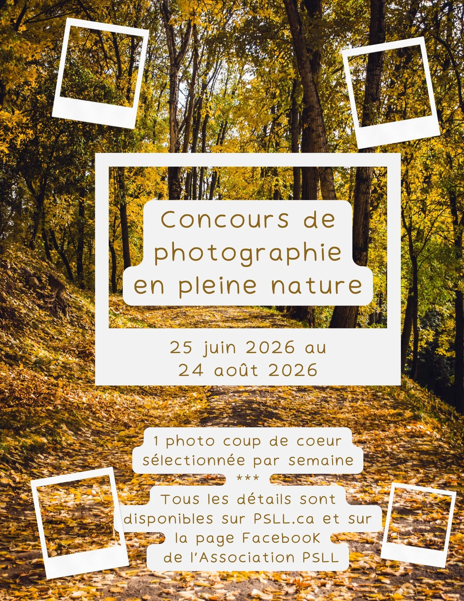 Flyer concours photo - franco jpeg.jpeg
