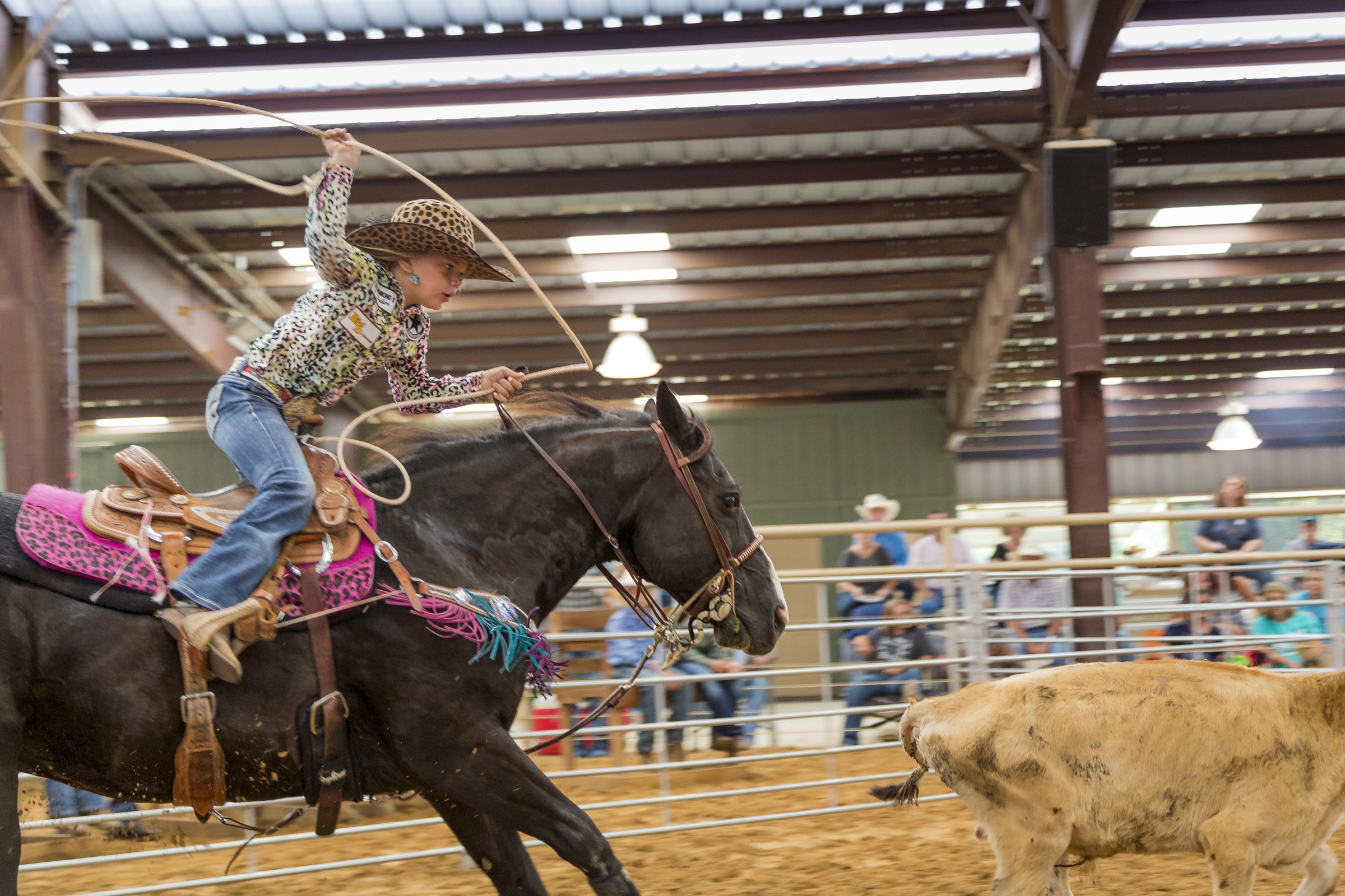 07-05-17_NRS-Roy_Cooper-Jr_Roping-198.jpg