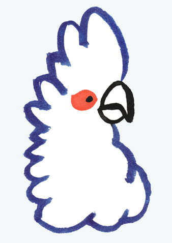 bird2.gif