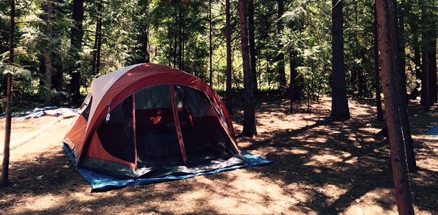 When in Doubt, Reboot the Machine