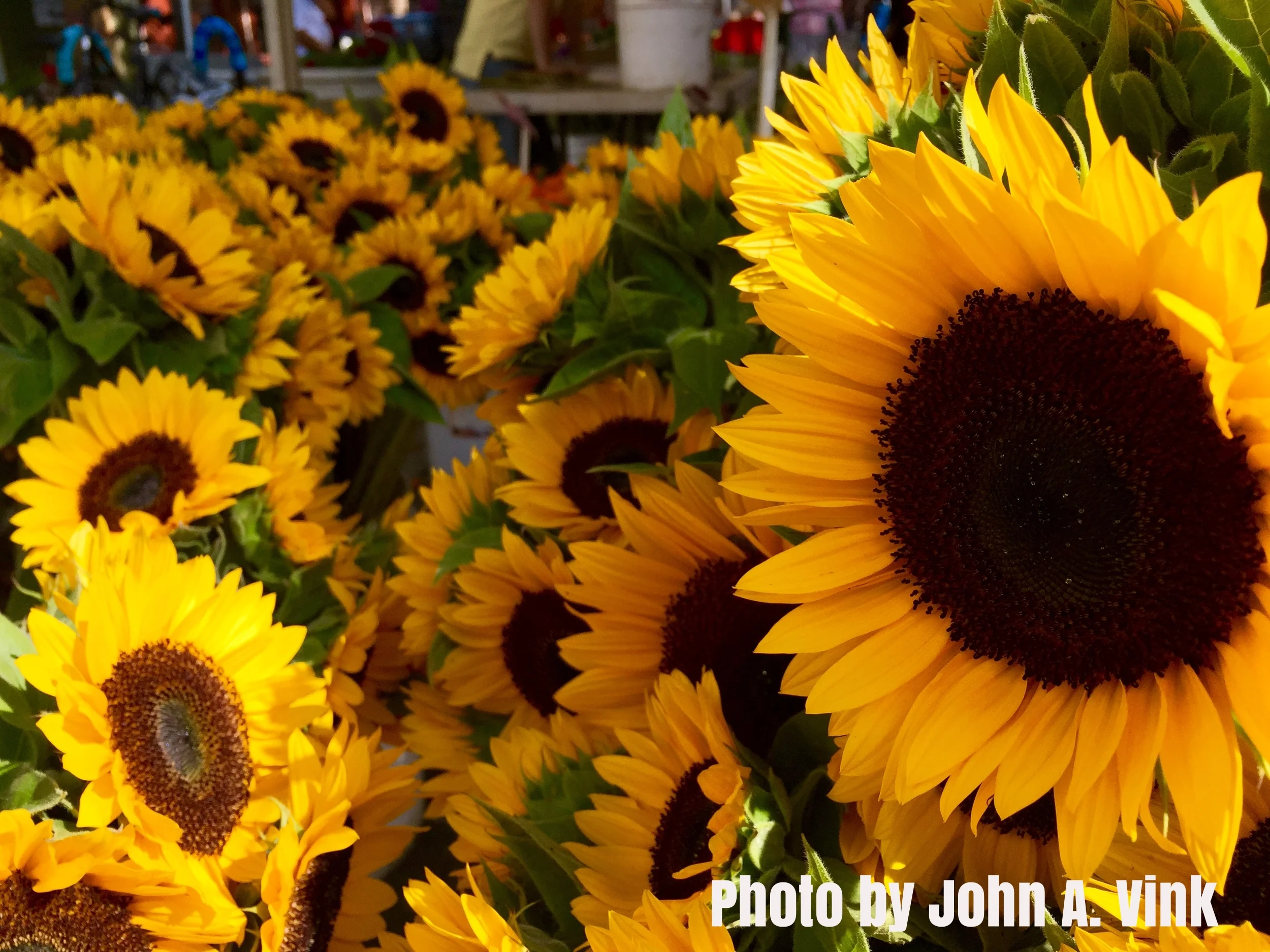 Natural Tip of the Week: Farmer's Markets
