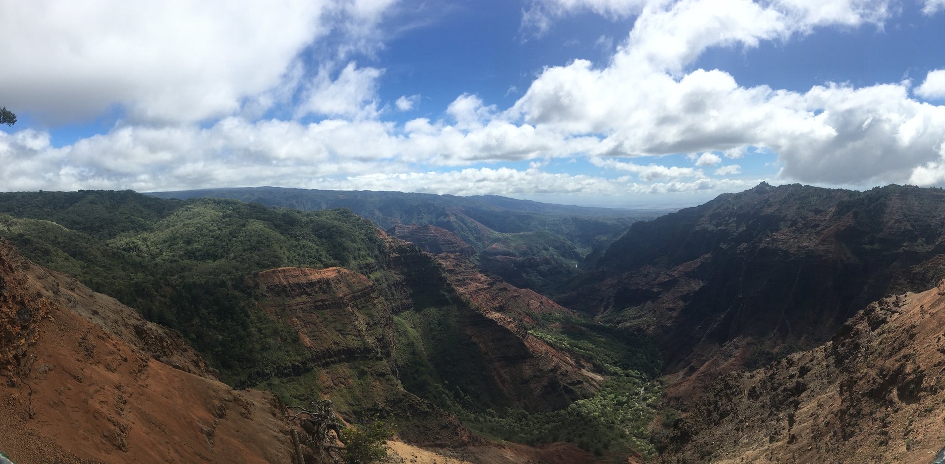 Looking back at 2017