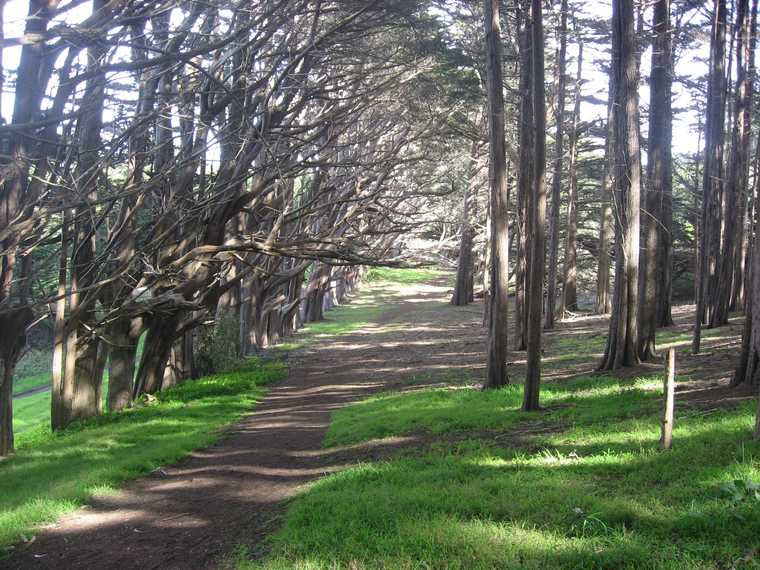 Coming Out of the Psychic Closet