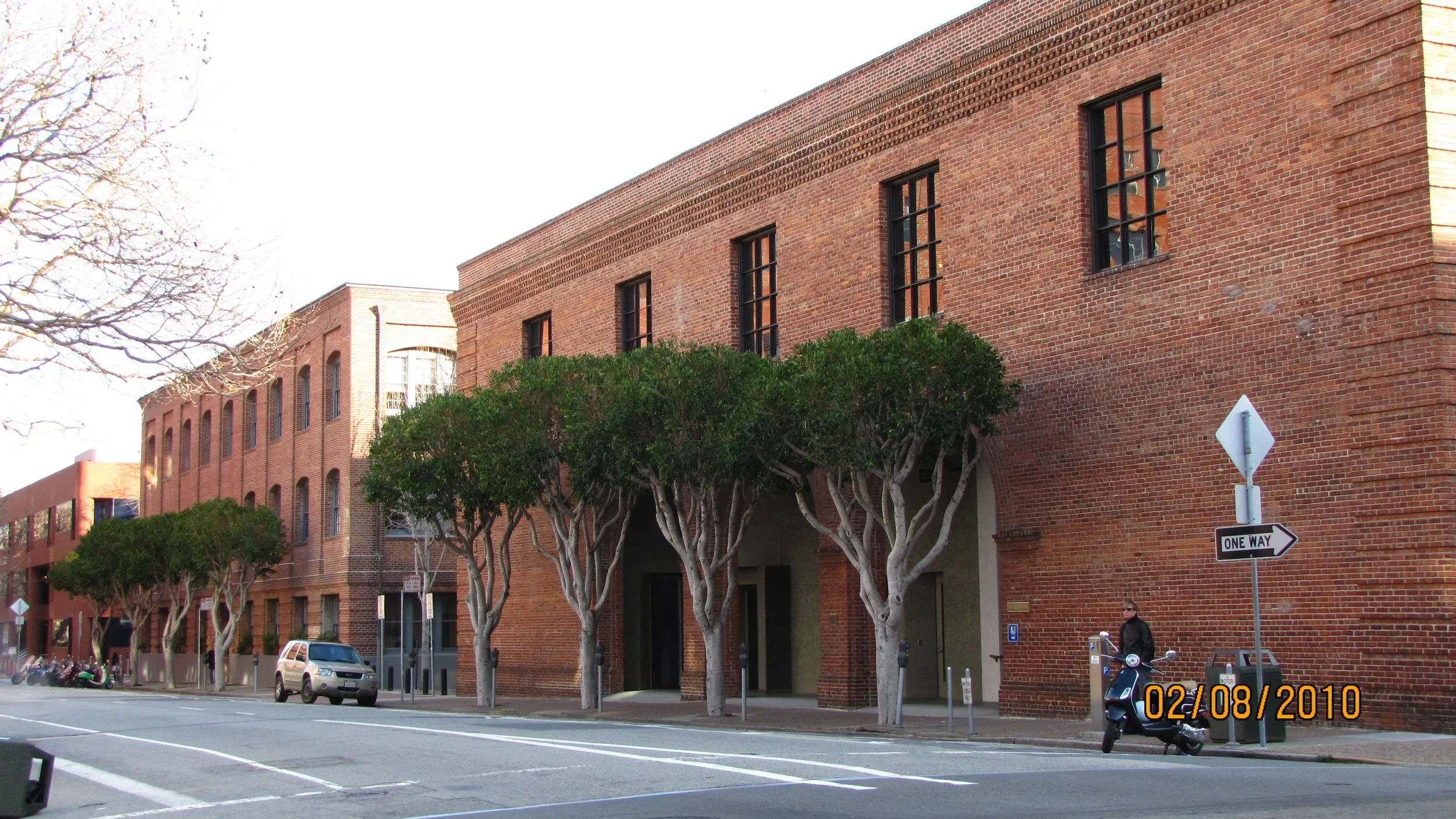 Street view of trees after service.