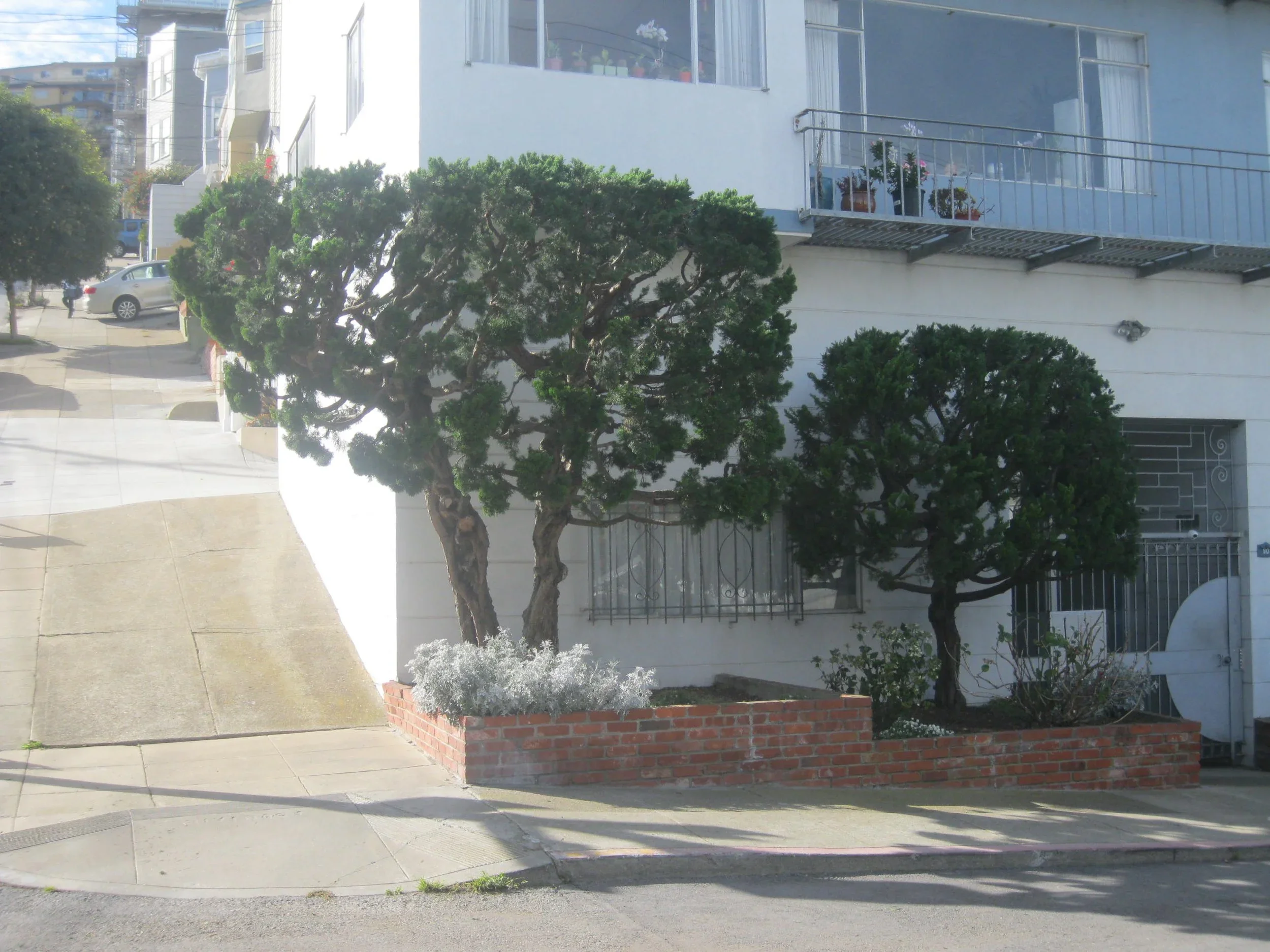 A residential building with large windows and a balcony with potted plants. In front, there are well-maintained trees with bushy green foliage and a small brick planter with plants. The sidewalk and street are visible, with some parked cars and a per