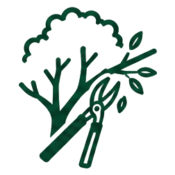 Icon and button for the tree pruning/trimming service on the bay area arborist cooperative website.