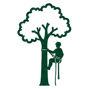 Icon and button for the tree removal service on the bay area arborist cooperative website.