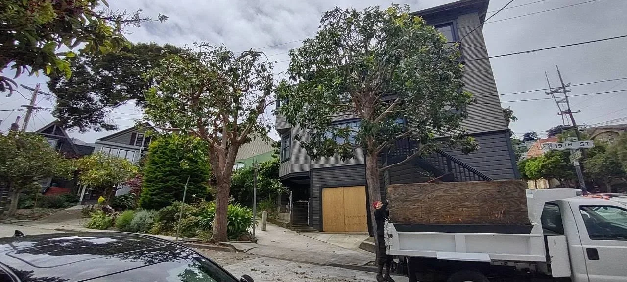 Tree pruning on a city street with a person standing beside a truck with a wooden bed.