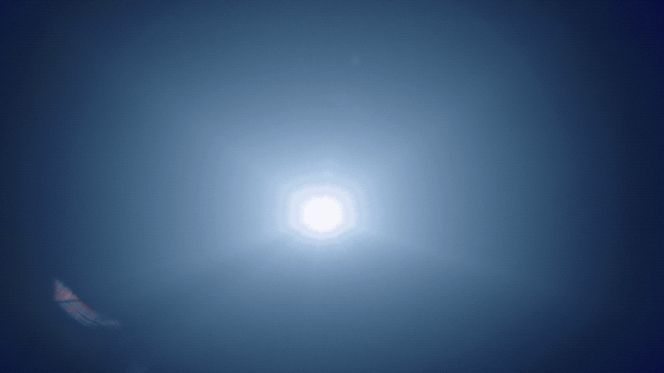 Ali Clark - Sidewalk 2015.gif