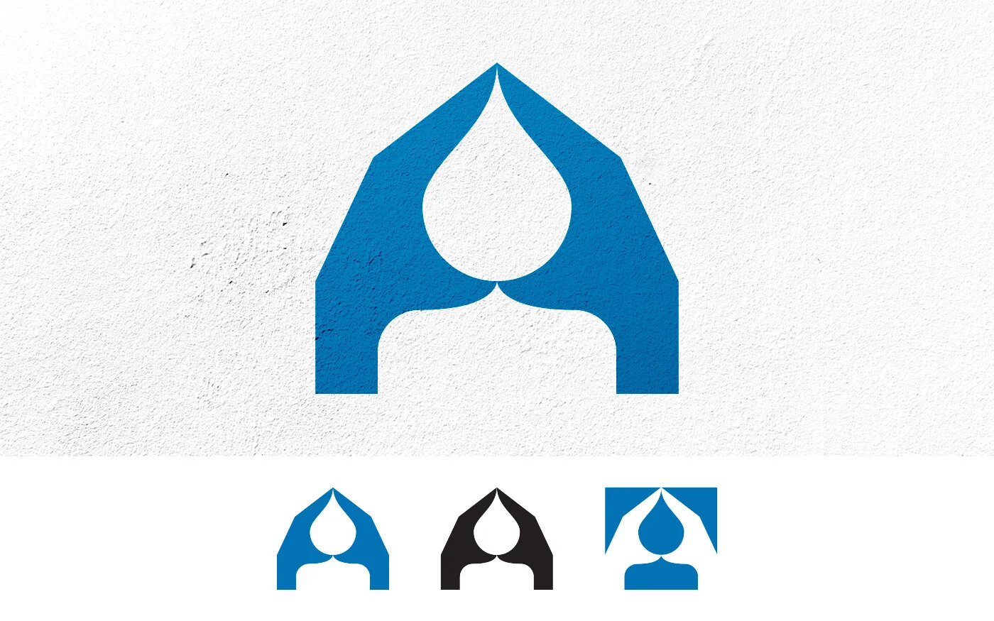  W.A.S.H logo large, and smaller in color,  black and white, and knockout 