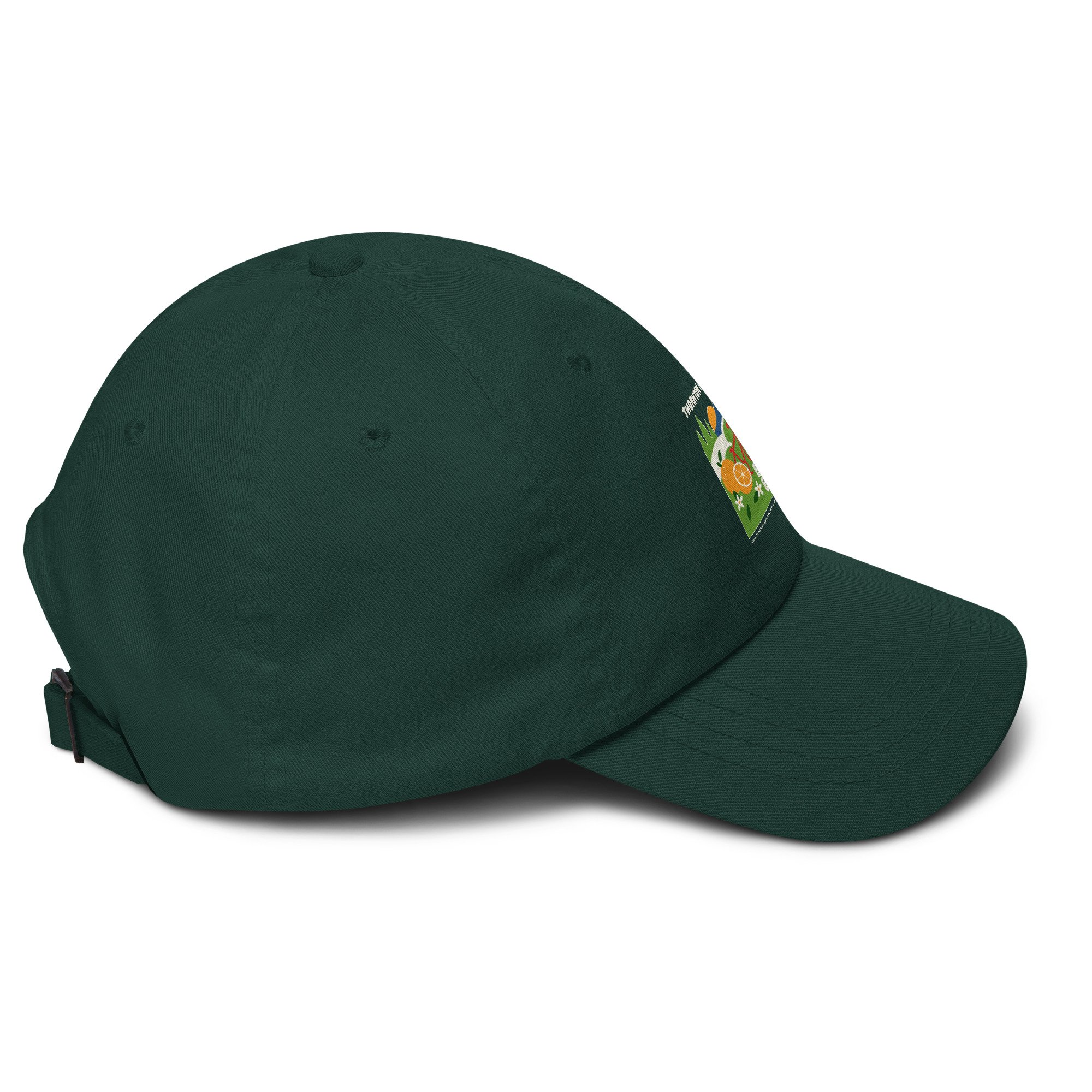 classic-dad-hat-spruce-right-6a861aa0caf2e.jpg