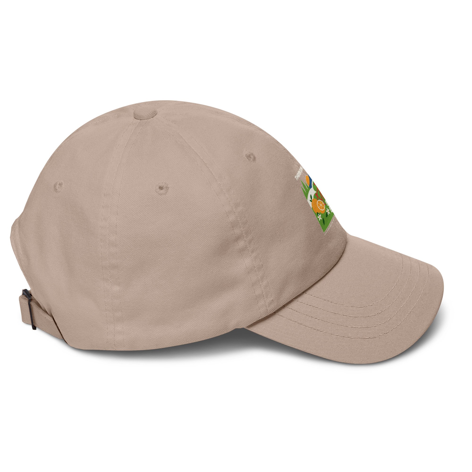 classic-dad-hat-stone-right-6a861aa0caf58.jpg