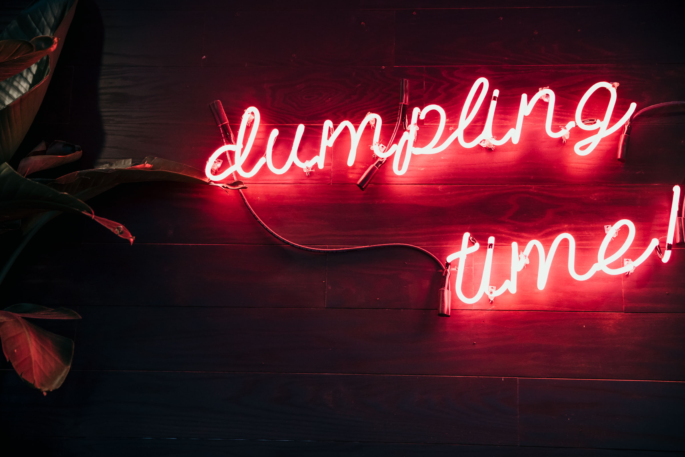 Dumpling Time-12.jpg