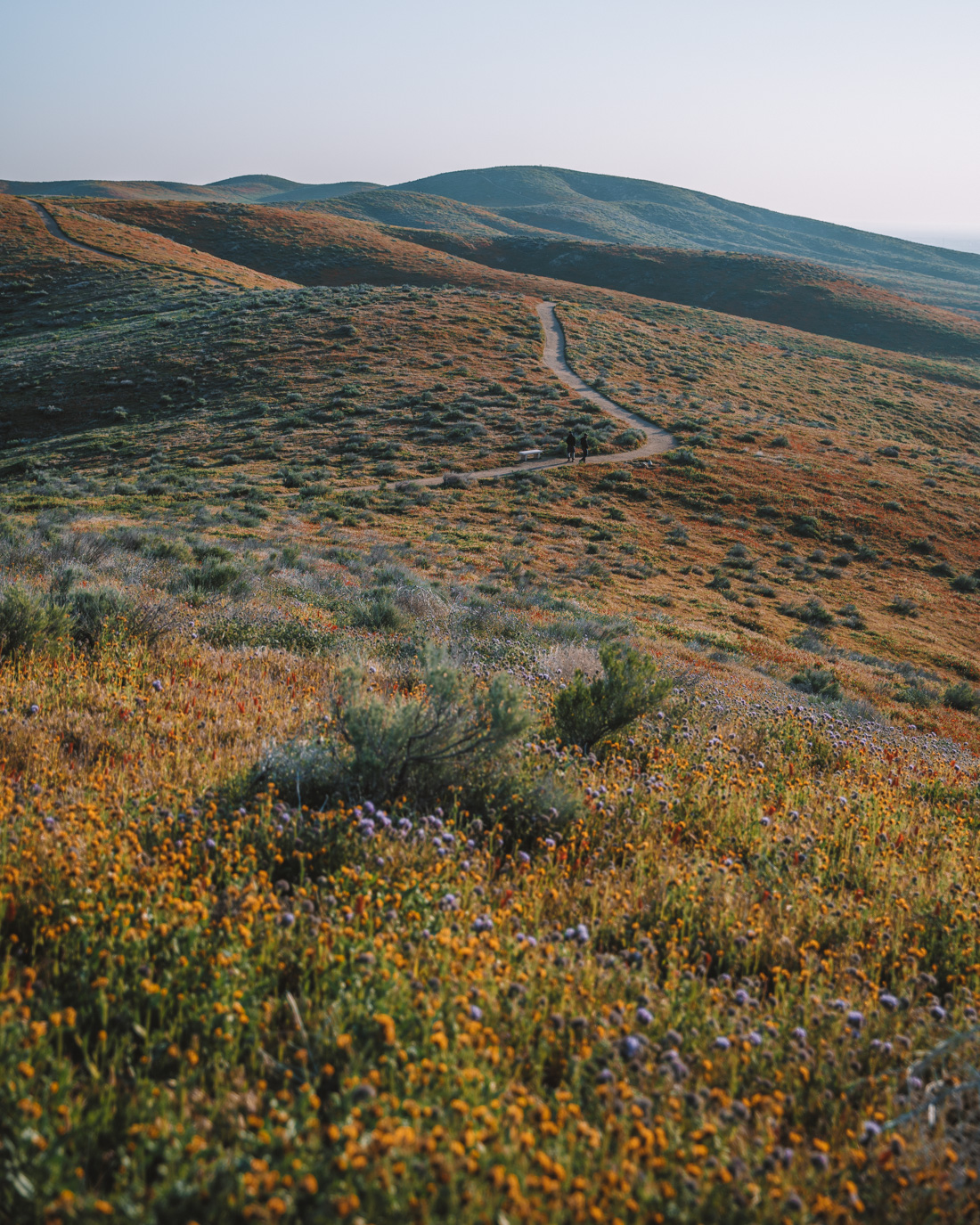 Antelope Valley - Madeline Lu 4.jpg