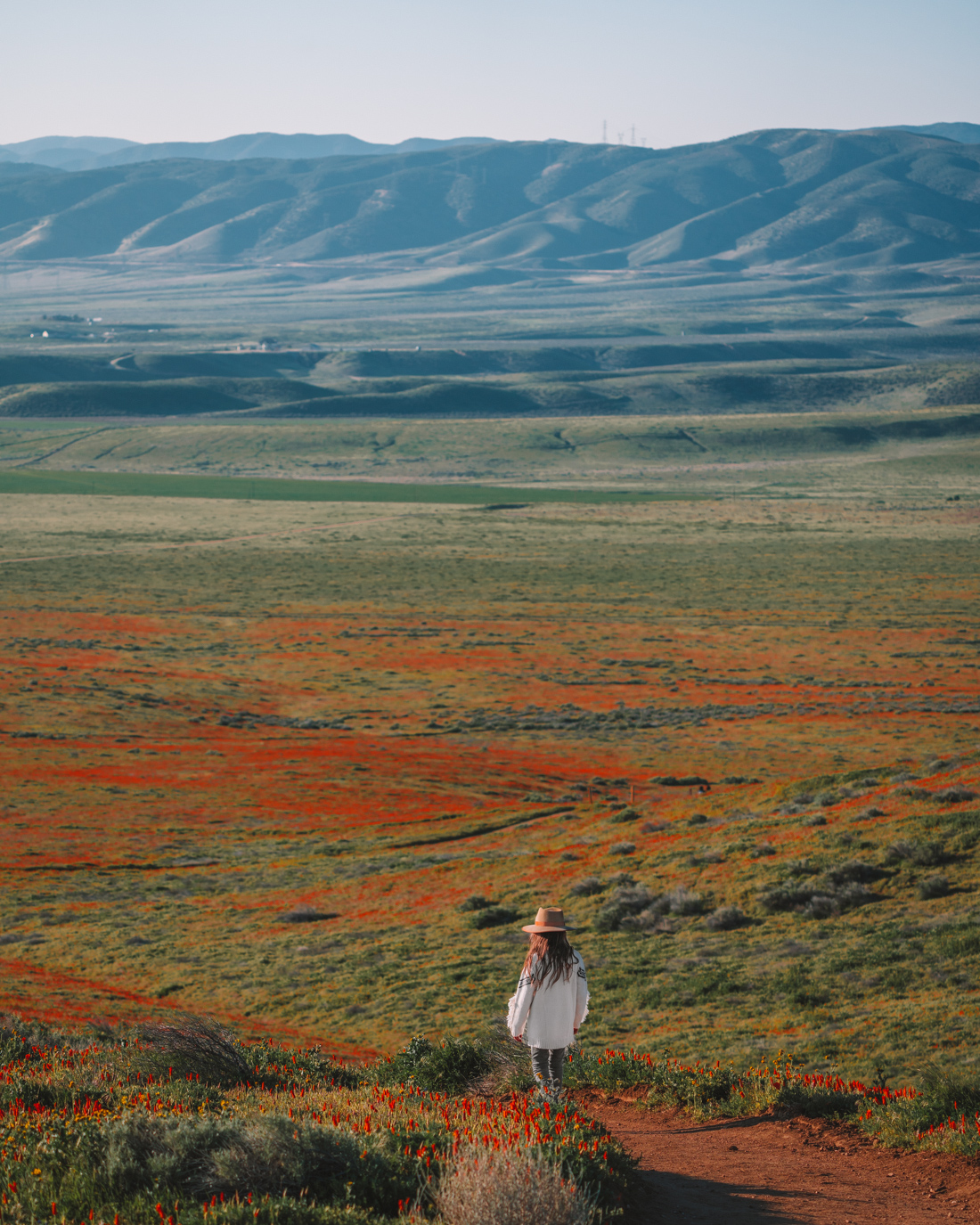 Antelope Valley - Madeline Lu 5.jpg
