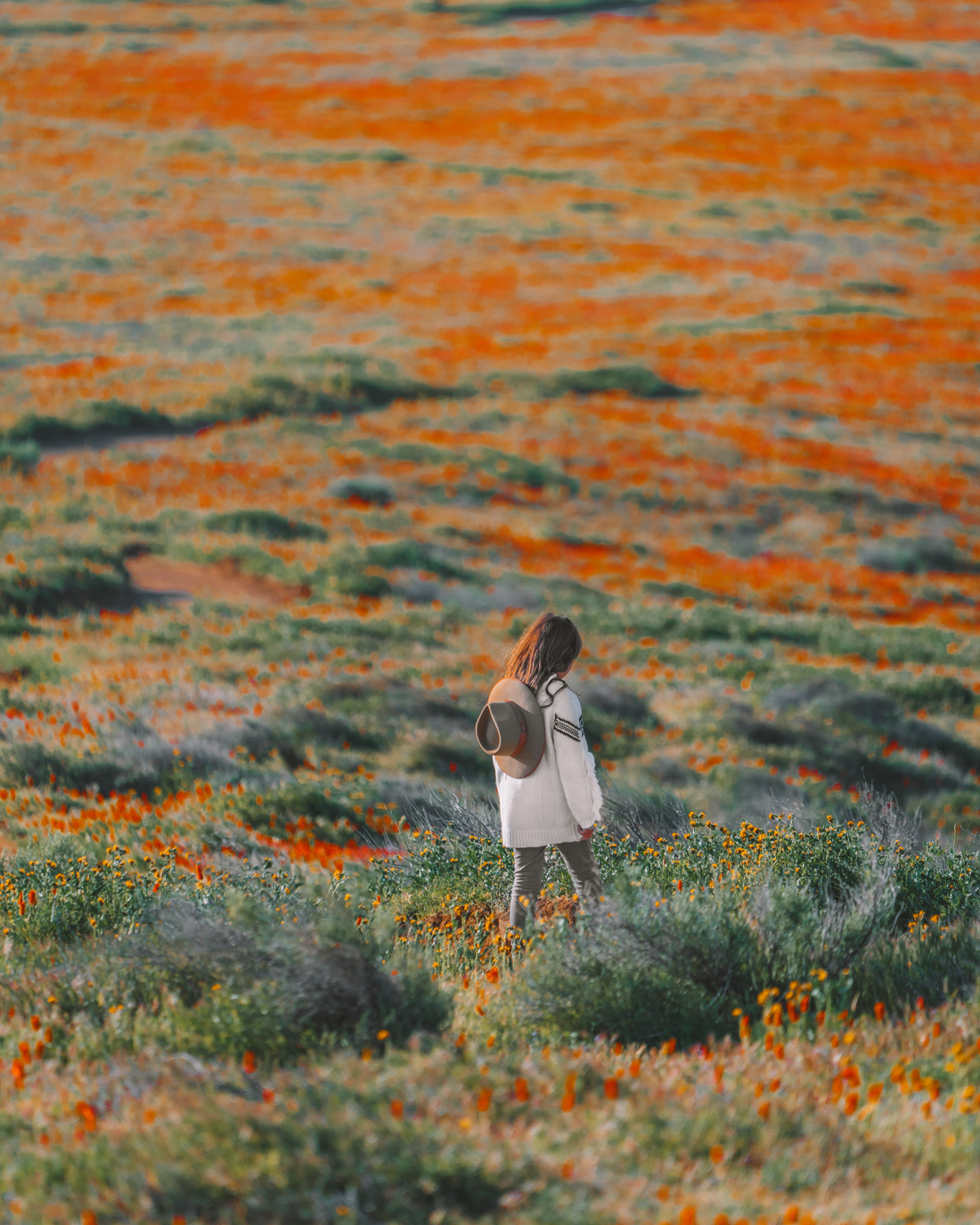 Antelope Valley - Madeline Lu 7.jpg
