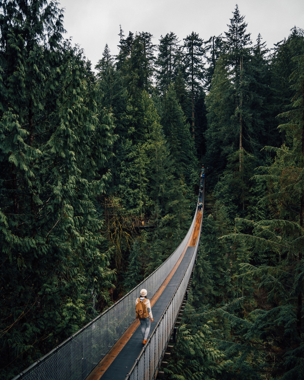 Visiting Capilano Suspension Bridge Park, Vancouver, Canada — Madeline Lu
