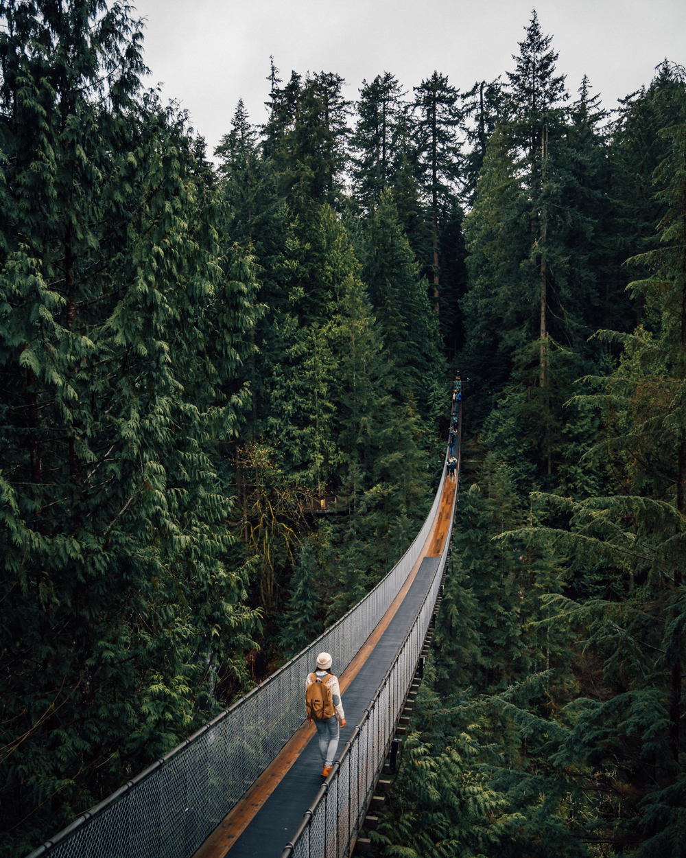 Visiting Capilano Suspension Bridge Park Vancouver Canada — Madeline Lu