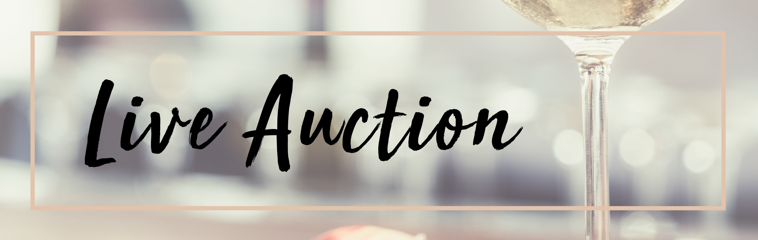 live auction banner_early bird.png