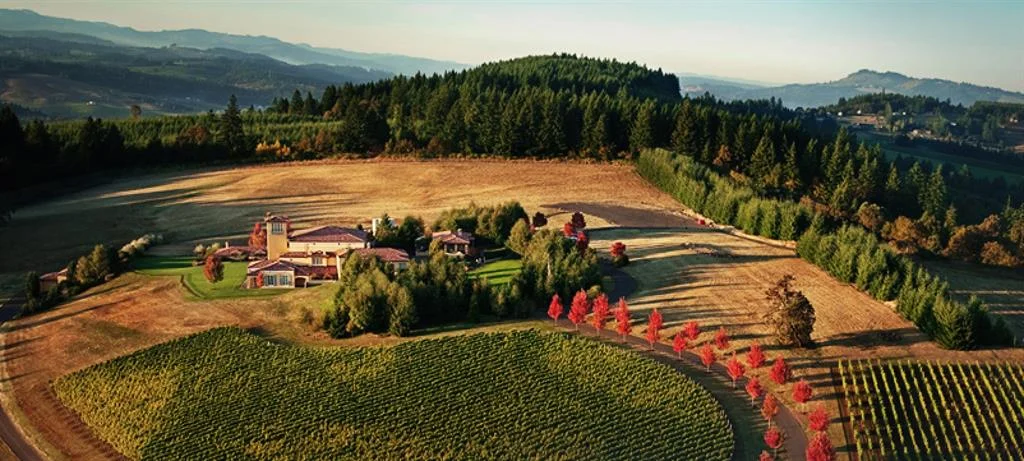 Domaine.jpg