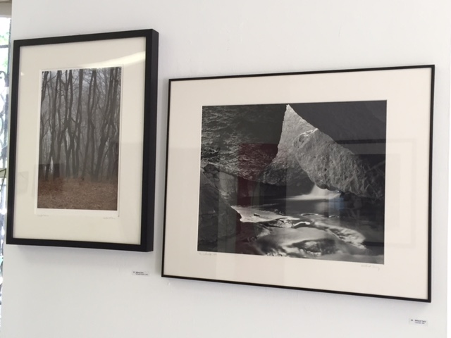 Will Terry's "Schuylkill Woods" & "Catwalk, NM"