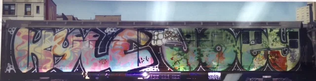 Photograph by Henry Chalfant.