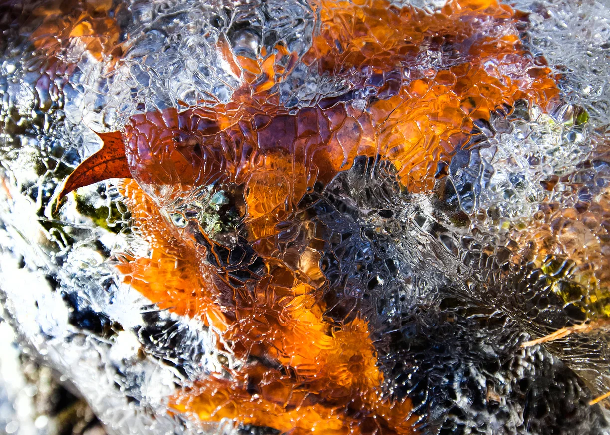 "Wissahickon Ice Escape" by Bob Emmott.
