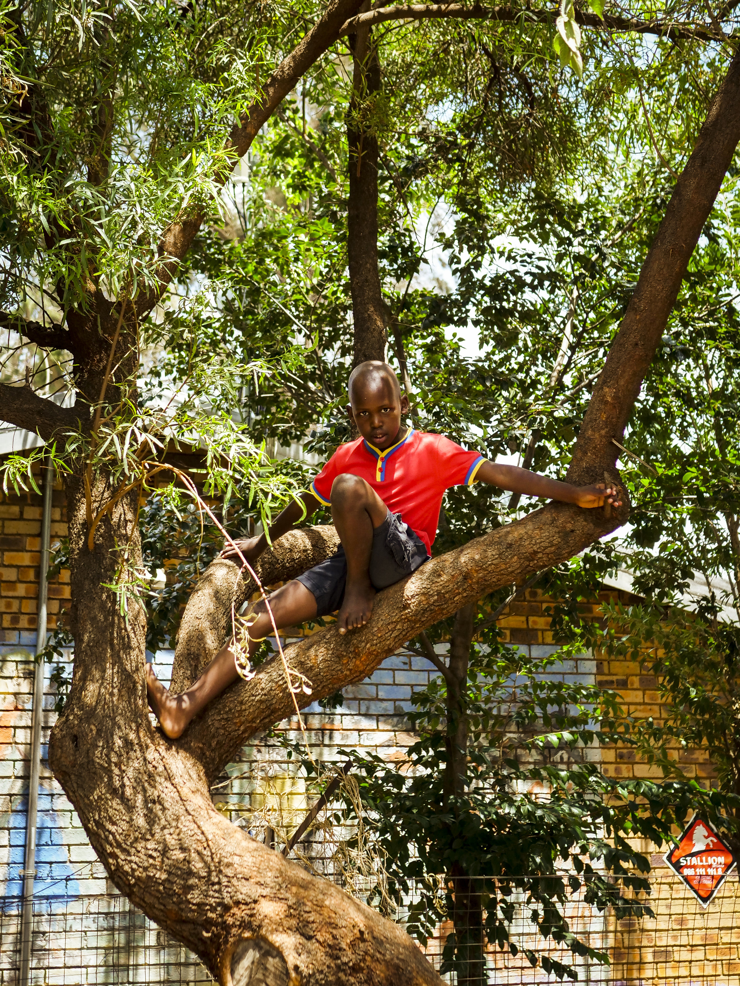 "RED" by Scott Foley