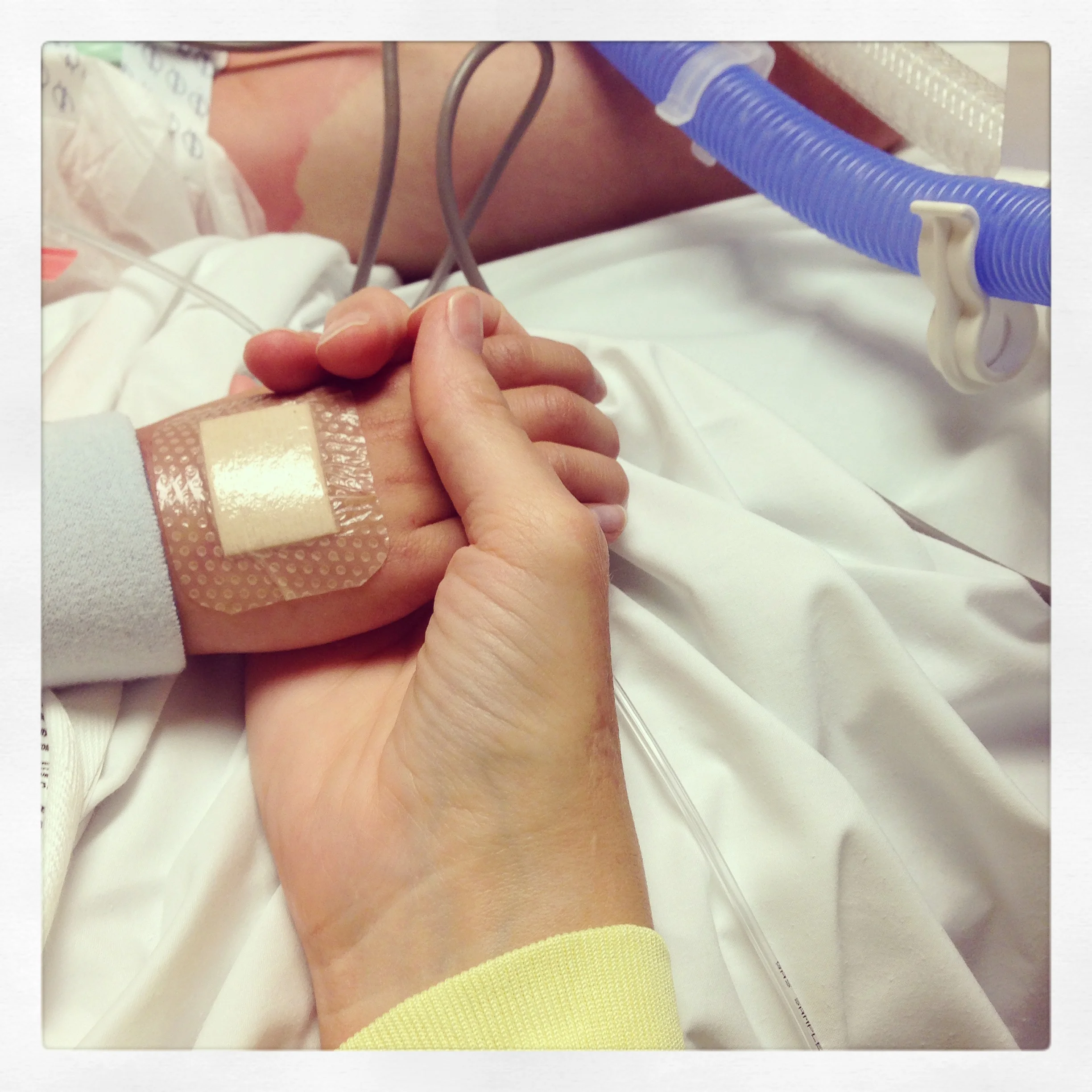 six months ago : today