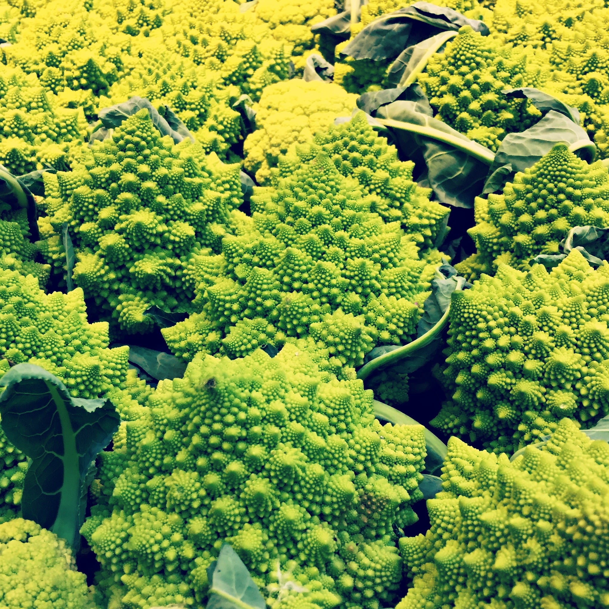 Mmmmm, broccoflower! 