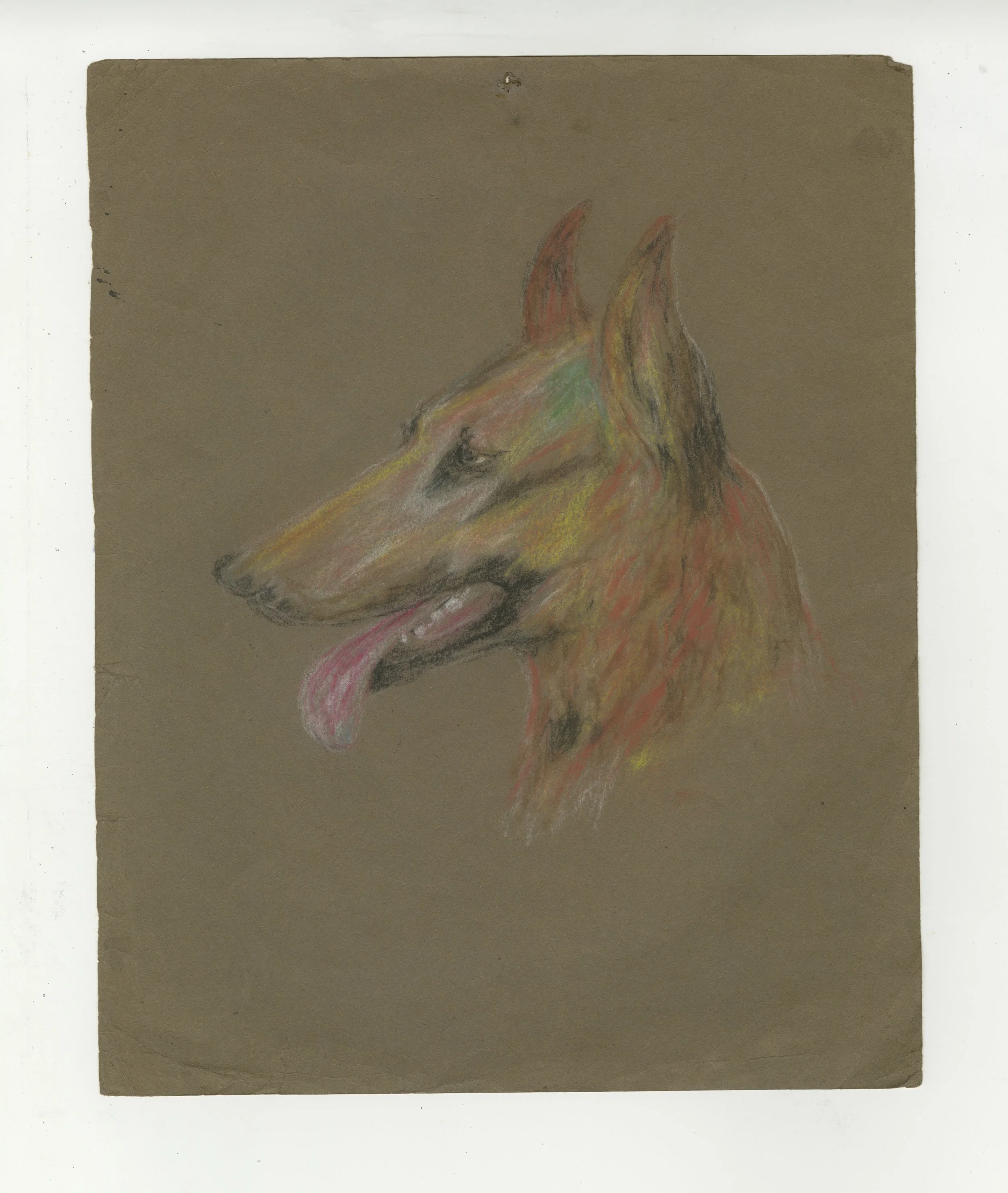 Drawing of ´Goldie´ was an example of the documents found on the secret locker room G-57 at the training facilities at ´Los establos del rey´ in the countryside of Aguachica, Colombia. Located in the southern region of the César Department. A particularly affected area during the armed conflict in Colombia between 1980 and 1990. This drawing was found underneath an old chocolate wooden-crafted box, full of gold teeth and rings. Drawing of Goldie , 30 x 24, 5 cm. Pastel on paper, n.d.