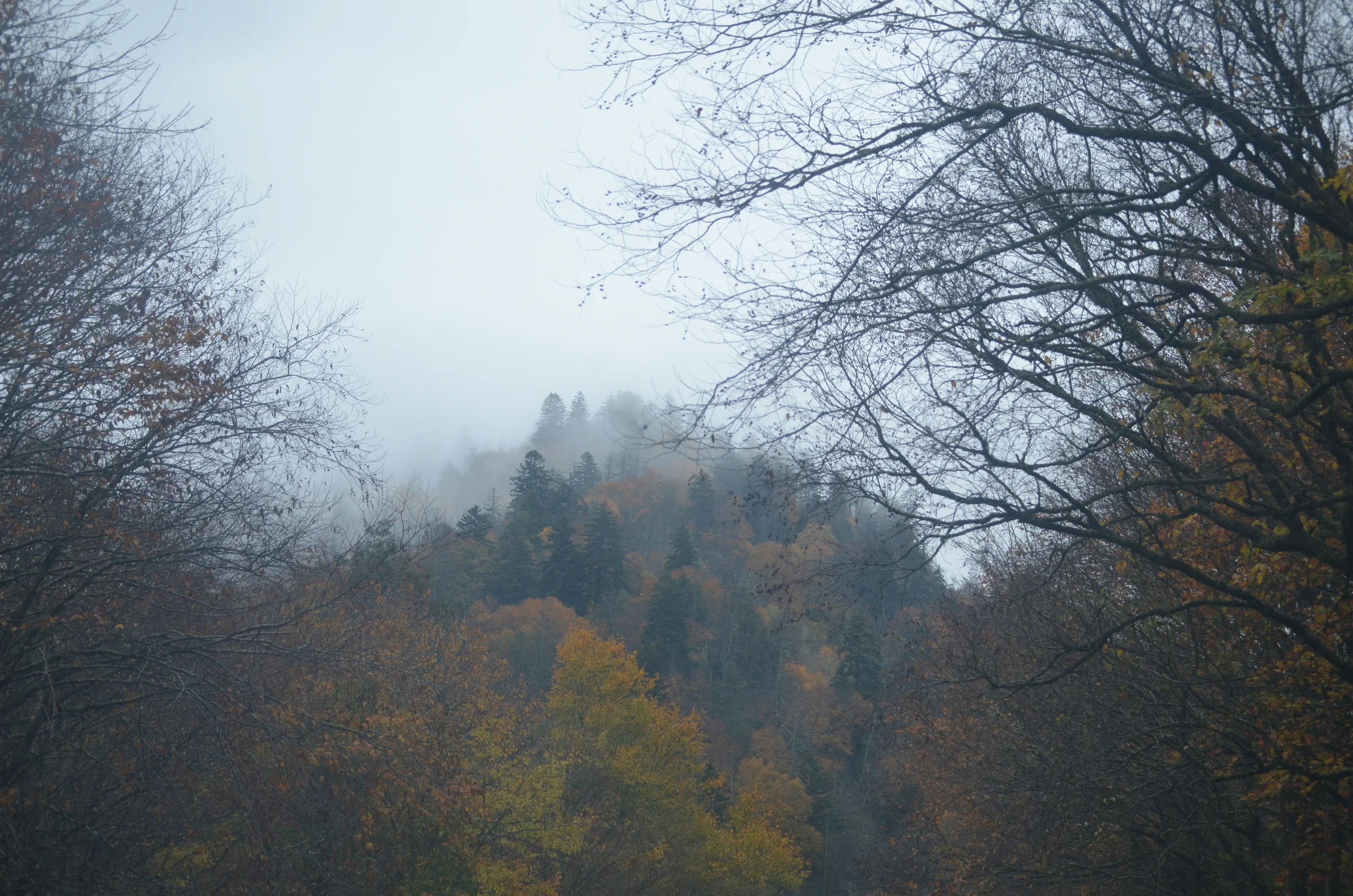 101614_1871.JPG